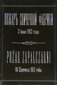 Pożar zapałczarni 1913 Бесплатан неограничен приступ