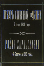 The Fire of the Match Factory (1913)