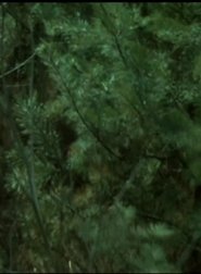 Poster Wald Forest 1984