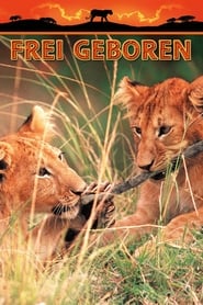 Poster Frei geboren - Königin der Wildnis