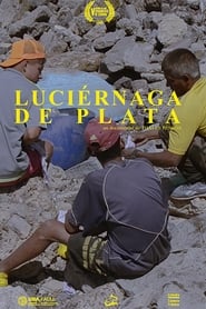 Luciérnaga de Plata