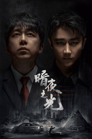The Light in the Dark poster