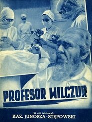 Poster Profesor Wilczur