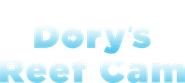 Dory's Reef Cam Logo