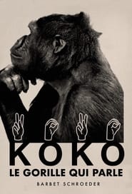 Poster Koko, le gorille qui parle