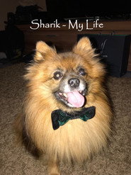 Sharik - My Life 