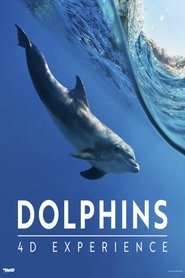 Dolphins 4-D Experience 2024 Бесплатан неограничен приступ