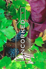 Uncorked постер