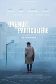 Poster Une nuit particulière