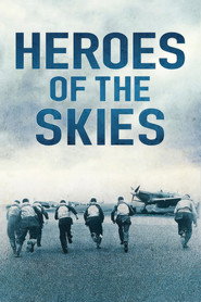 Heroes of the Skies (2012)