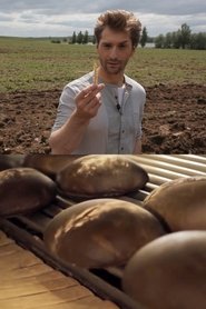 Bread (2014)