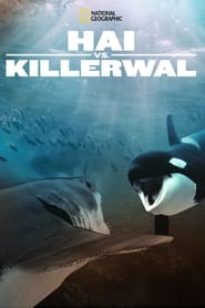 Poster Hai vs. Killerwal