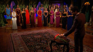 The Bachelor: 28×3