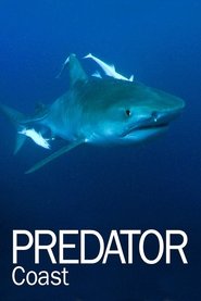 Poster Predator Coast 2012