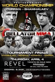Poster Bellator 95 2013
