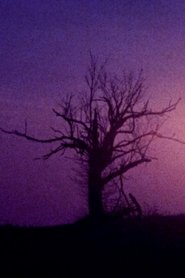 Fainter Echoes