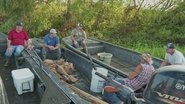 Swamp Showdown