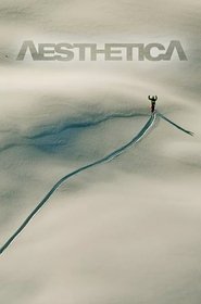 Poster Aesthetica 2009