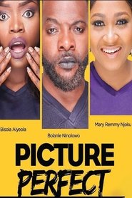 Poster Picture Perfect 2016