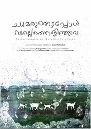 Those, revealed on the walls, in a touch (2025)