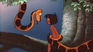 The Jungle Book 