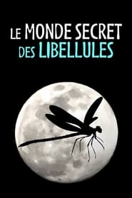 Poster Le Monde secret des libellules