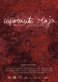 Poster Caperucita roja 2020