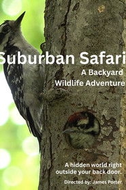 Suburban Safari: A Backyard Wildlife Adventure (1970)