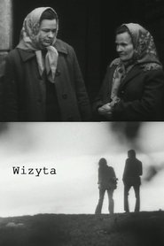 Poster The Visit 1974