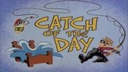 Catch of the Day