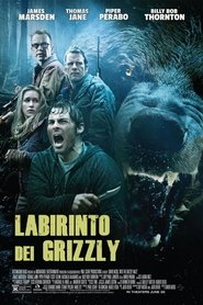 Labirinto dei Grizzly