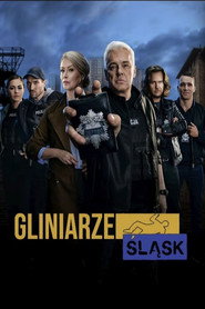 Gliniarze. Śląsk