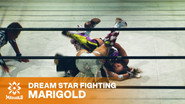 Marigold DREAM✴︎STAR Grand Prix 2026 ~ Day 3 (Evening)