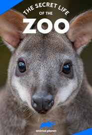 The Secret Life of the Zoo: Season 10