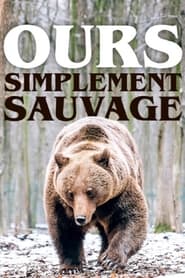 Poster Ours, simplement sauvage