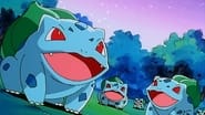 صورة انمي Pokémon الموسم 1 الحلقة 51