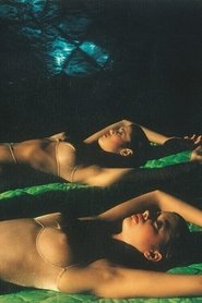 Poster Films of Guy Bourdin (Selection) 1970