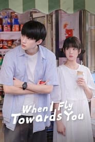 When I Fly Towards You poster