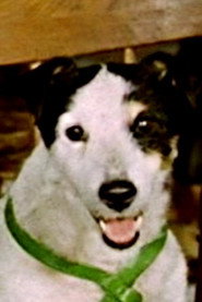 Tobby