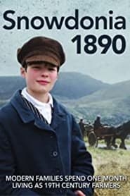 Snowdonia 1890 постер