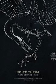 Through the Haze (2020)