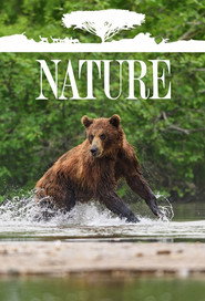 Nature poster