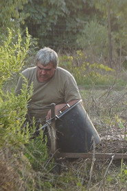 Les haricots ne poussent pas en ligne droite
