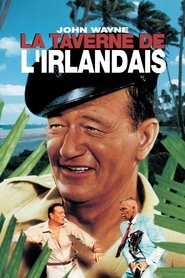 Film La Taverne de l'Irlandais en streaming