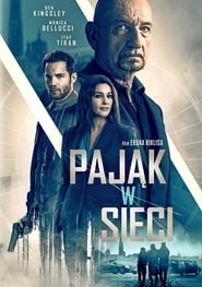 Pająk w sieci (2019)