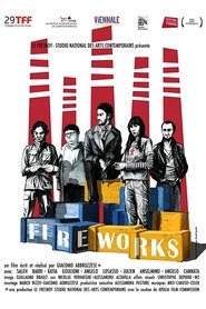 Poster Fireworks 2011