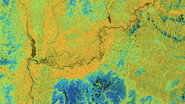 Rainforests: Can Tech Help to Protect Trees?