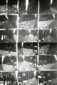 Simultanés/circostances 2. Jardin de plantes