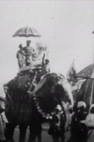 Procession of Elephants with Howdahs - India (1905)