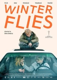 Winter Flies постер